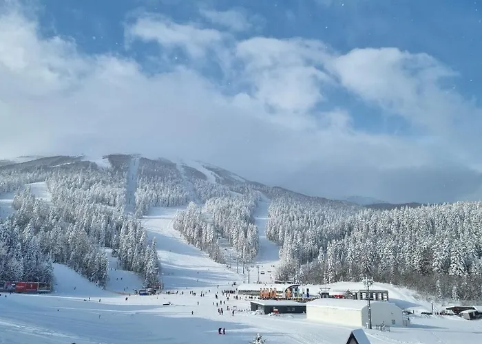 Bellevue * بيلاسنيكا